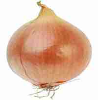 cebolla