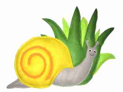 images stories caracol