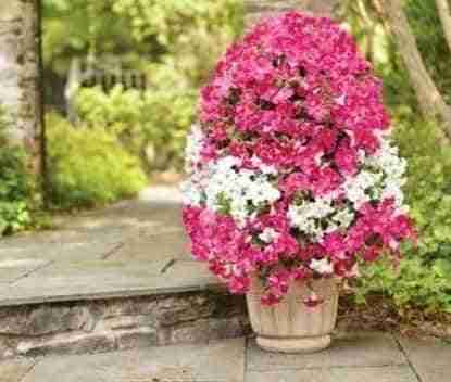 DIY una torre de flores para decorar la entrada 3 torre de flores para decorar